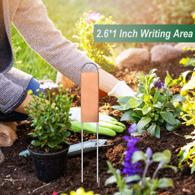 Bendical herb and flower labels help identify varieties at a glance.