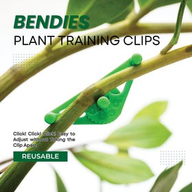 Bendies color variants-green orange blue for versatile tent styling