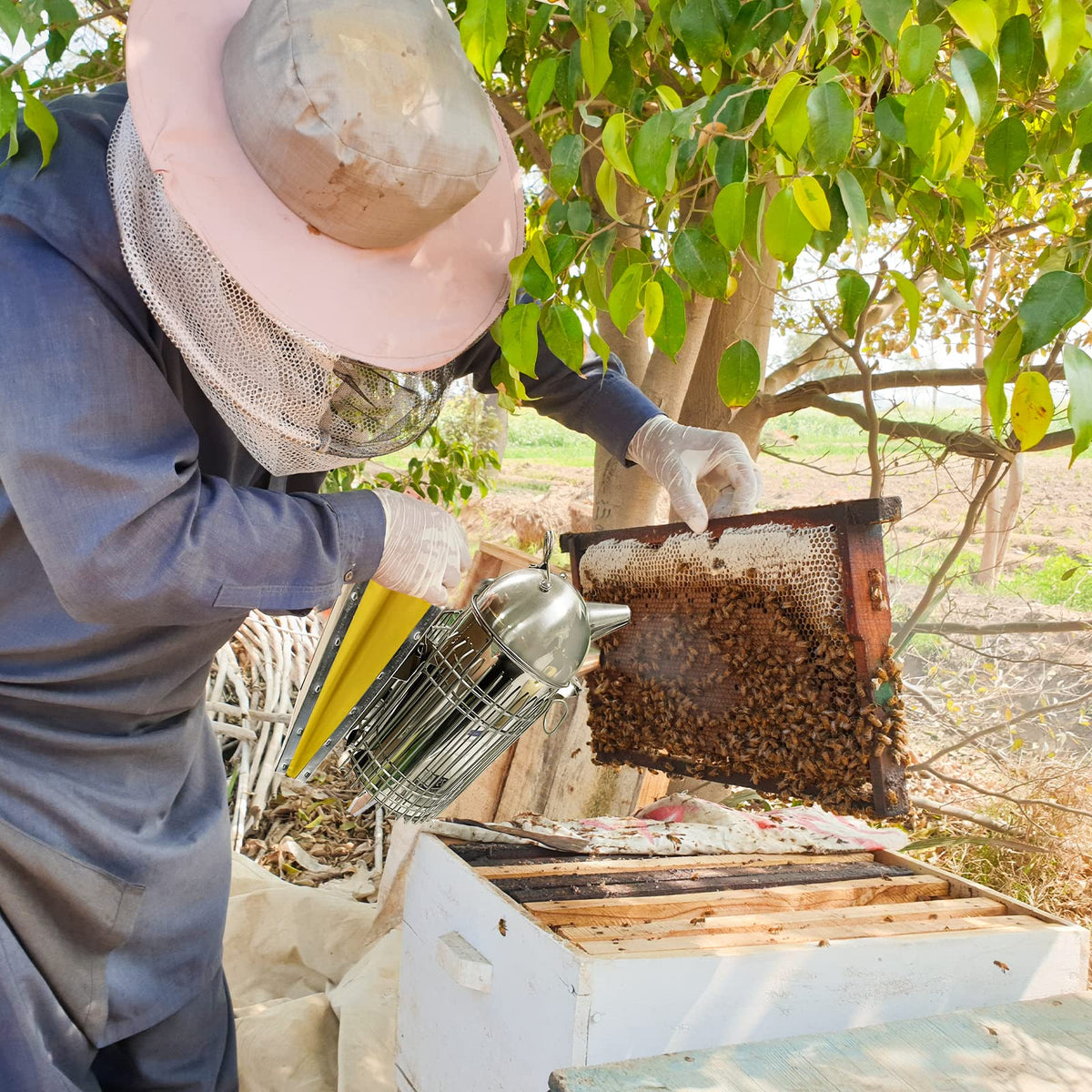 BenefitBee stainless surface stays cooler to touch for a more comfortable use.