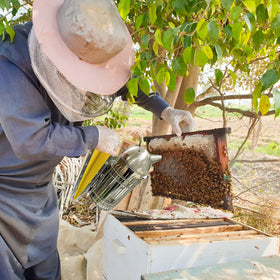 BenefitBee stainless surface stays cooler to touch for a more comfortable use.