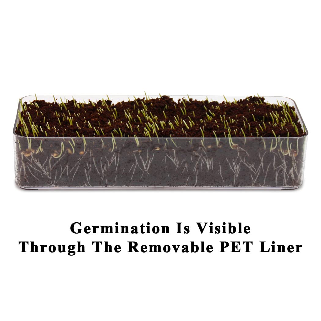 BENPIN cat grass planter is leak proof to safeguard furniture