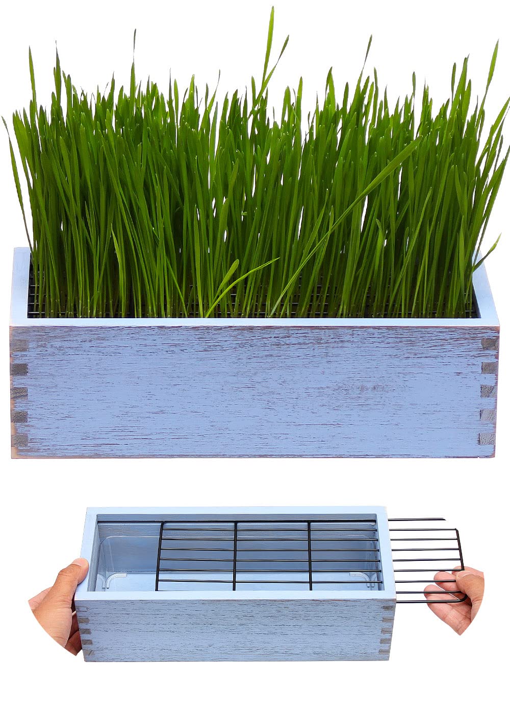 BENPIN wooden cat grass planter with anti digging design for tidy indoors