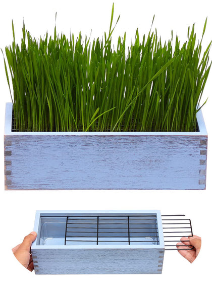 BENPIN wooden cat grass planter with anti digging design for tidy indoors