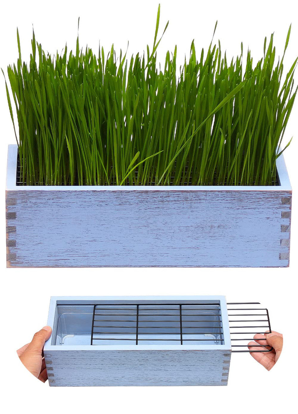 BENPIN wooden cat grass planter with anti digging design for tidy indoors