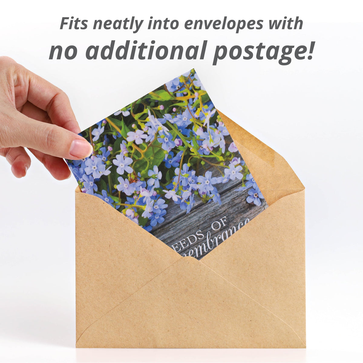 Bentley Seed Co. back-of-packet planting instructions for easy home growing