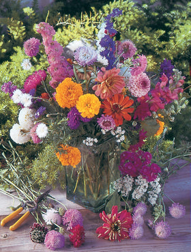 Bentley Seed Co colorful garden scene highlights blooming potential in home plots.