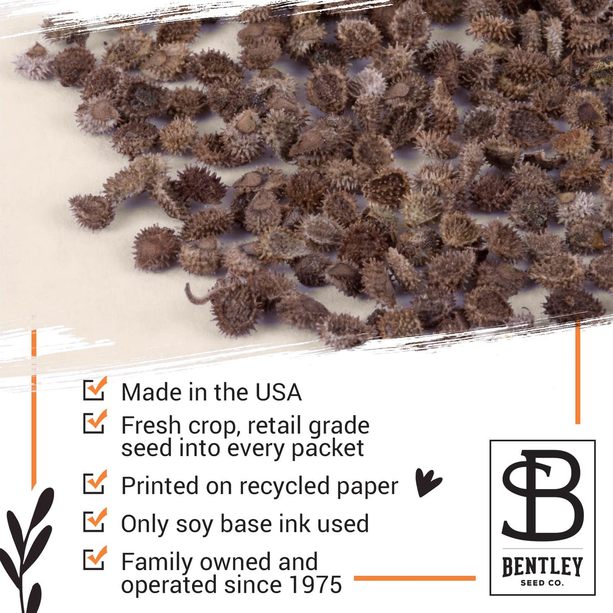 Bentley Seed Co non-GMO seeds fresh and reliable for planting