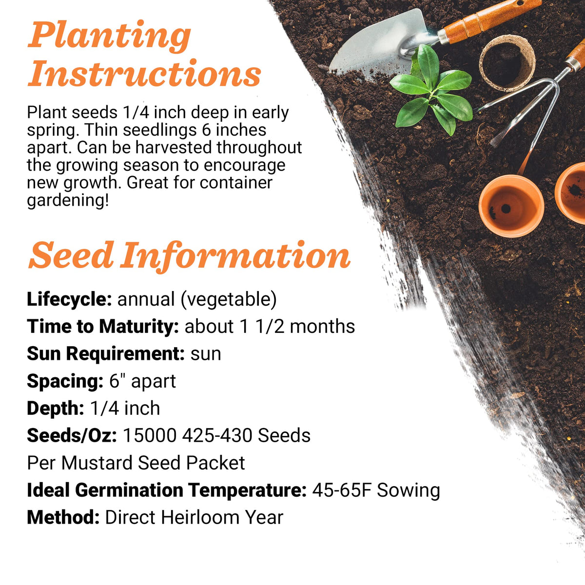 Bentley Seed Co back of seed packet shows planting instructions for beginners.