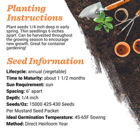 Bentley Seed Co back of seed packet shows planting instructions for beginners.