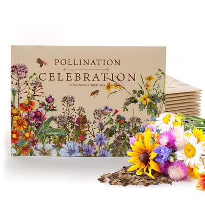 Bentley Seed Co. Pollination Celebration wildflower packets offer vibrant seeds for a pollinator-friendly garden.