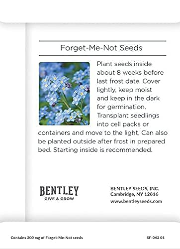 Bentley Seed Co. Promotional seed envelope with a personalized message option.