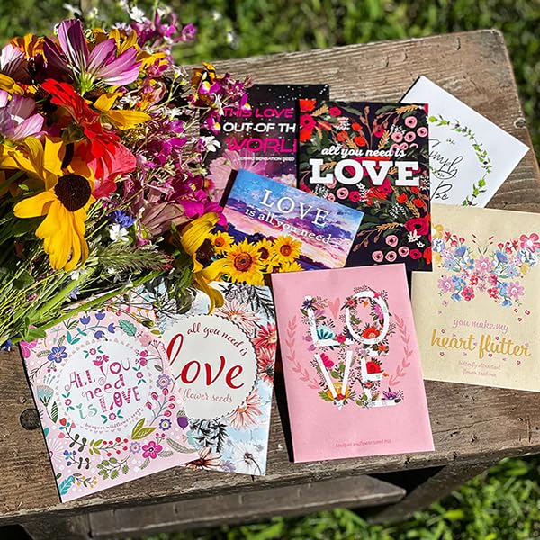 Bentley Seed Co spring planting wildflowers offer midsummer color in sunny warm soils