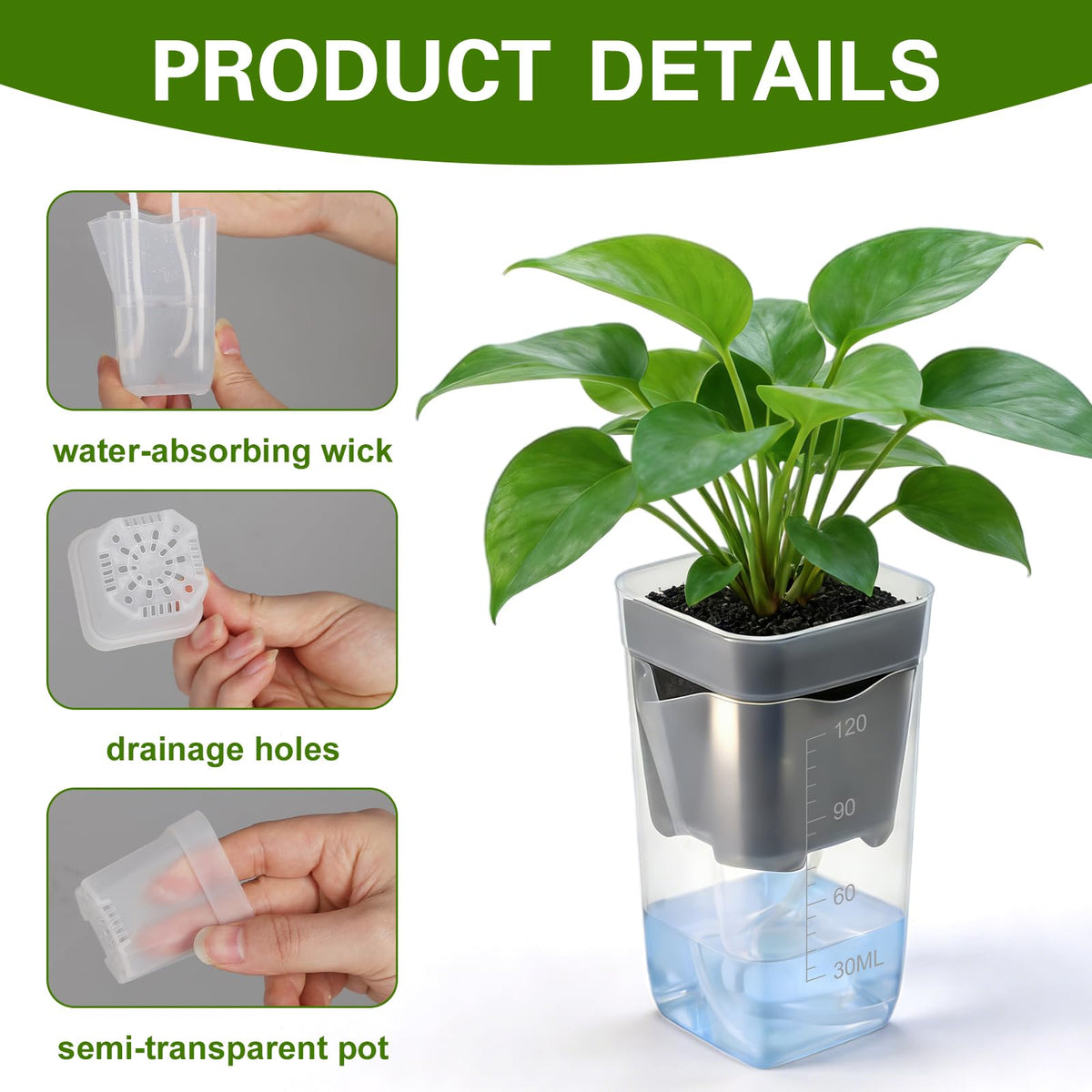 Benwanfee clear planter with drainage holes prevents overwatering.