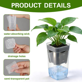 Benwanfee clear planter with drainage holes prevents overwatering.