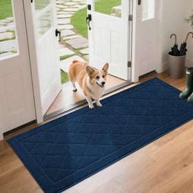 BEQHAUSE Dirt Trapper door mat front view showing moisture absorption.