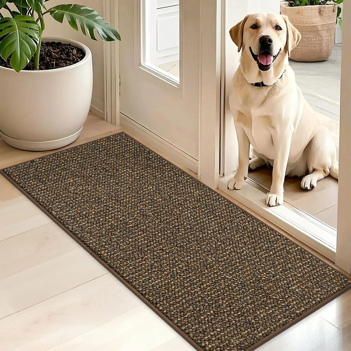 BEQHAUSE Dirt Trapper mat at the front door traps dirt and moisture for clean floors