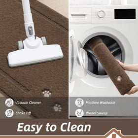 BEQHAUSE dog door mat absorbs moisture on wet days
