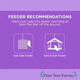 Berry-infused suet blend with nuts and seeds attracts a variety of wild birds.