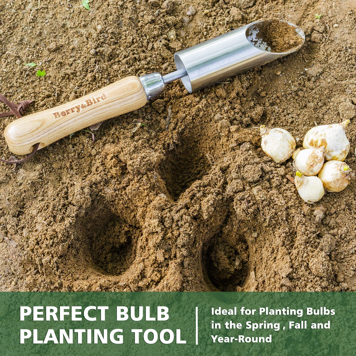 Berry&Bird bulb planter tool handling bulbs ready for transplant