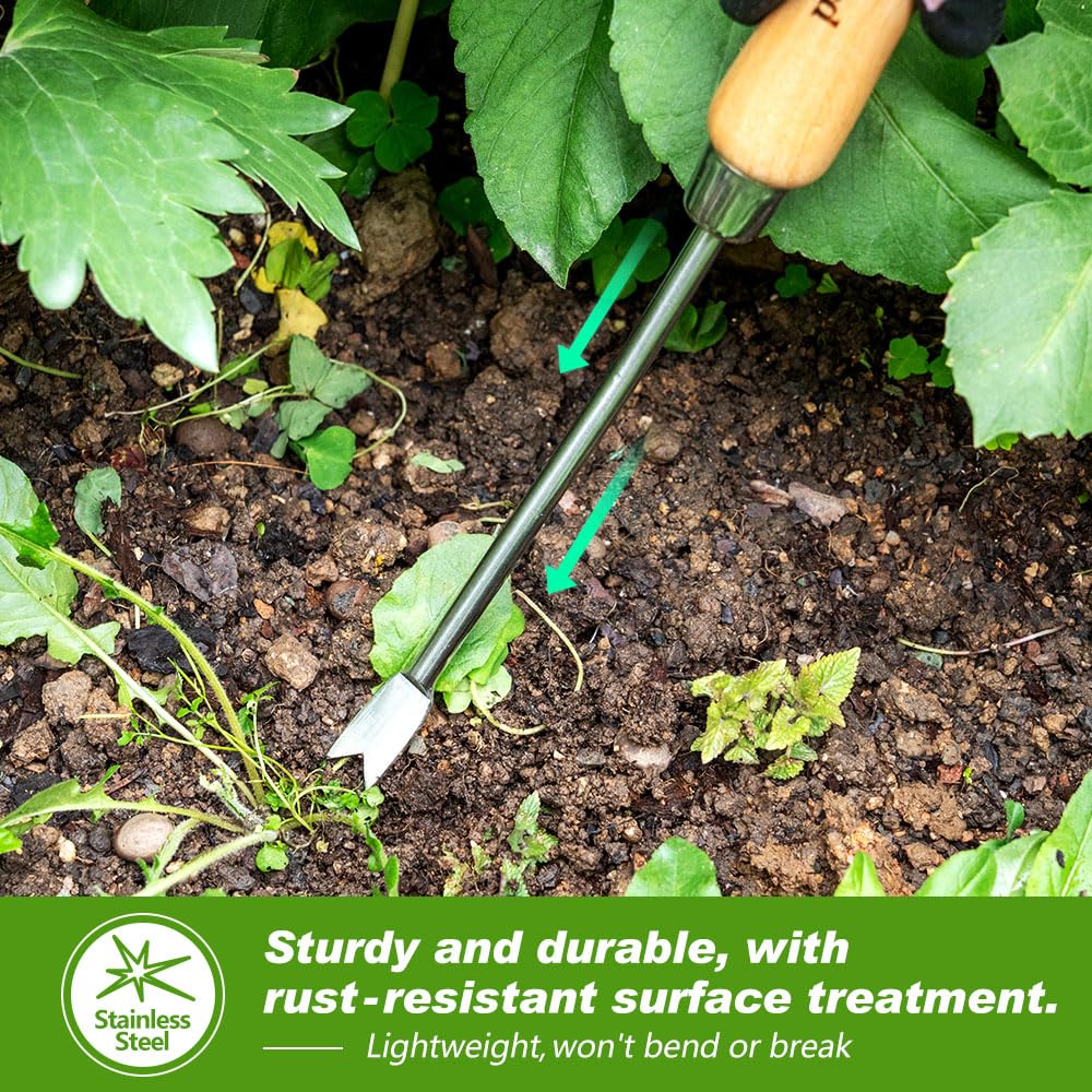 Tool used in a garden bed to loosen soil and remove weeds