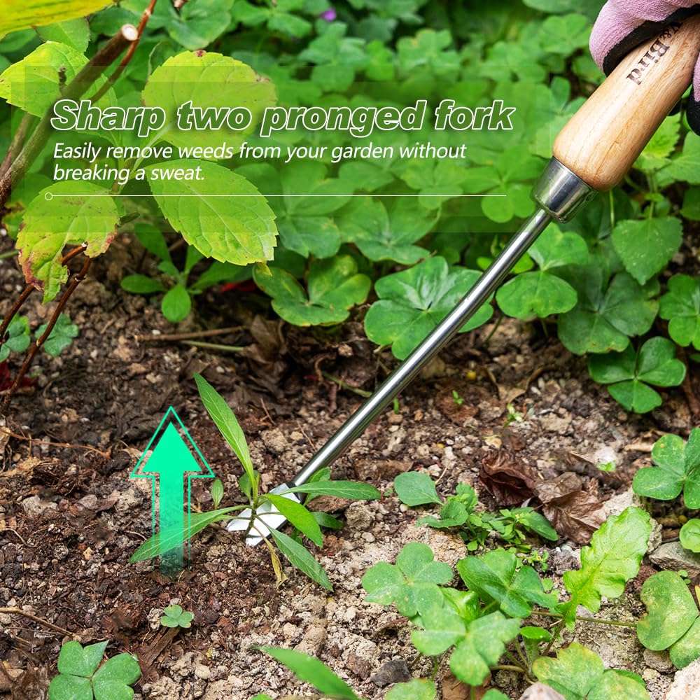 Berry&Bird weeding tool with V-shaped fork in action