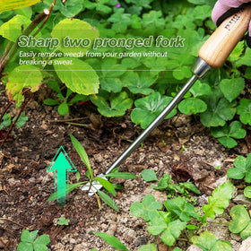 Berry&Bird weeding tool with V-shaped fork in action
