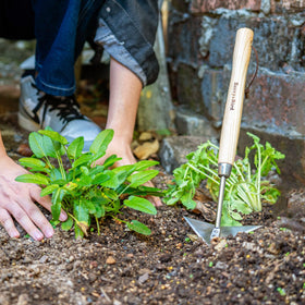 Berry&Bird Ergonomic wood handle in hand showcases comfortable gardening task control.