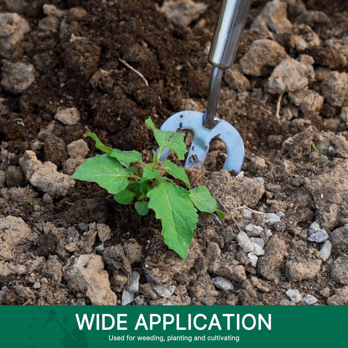 Berry&Bird long reach helps access tight spaces between plants.