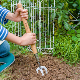 Berry&Bird stainless steel head endures daily digging and weeding tasks.