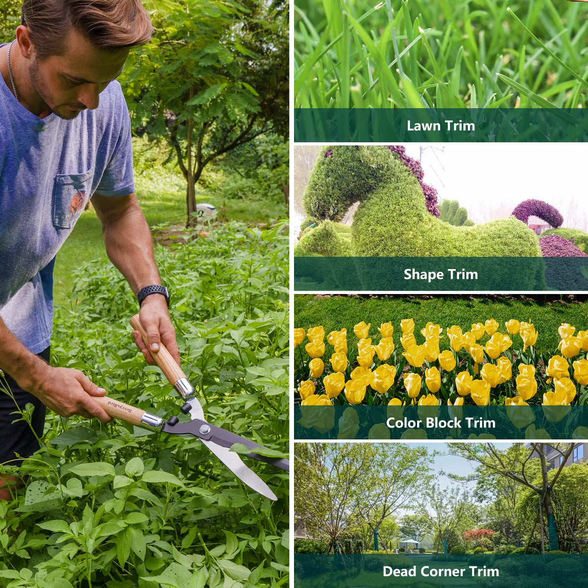 Berry&Bird hedge shears include shock-absorbing bumpers to reduce vibration