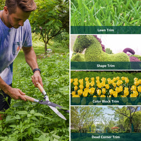 Berry&Bird hedge shears include shock-absorbing bumpers to reduce vibration