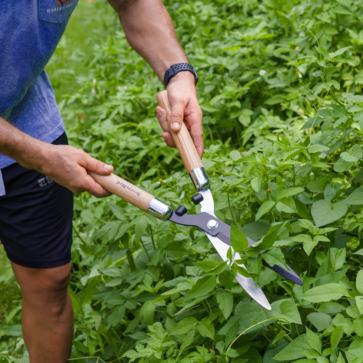 Berry&Bird hedge shears backed by warranty and service support