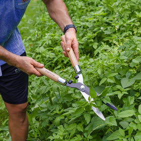Berry&Bird hedge shears backed by warranty and service support
