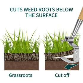 Berry&Bird push-pull motion speeds weeding and reduces effort