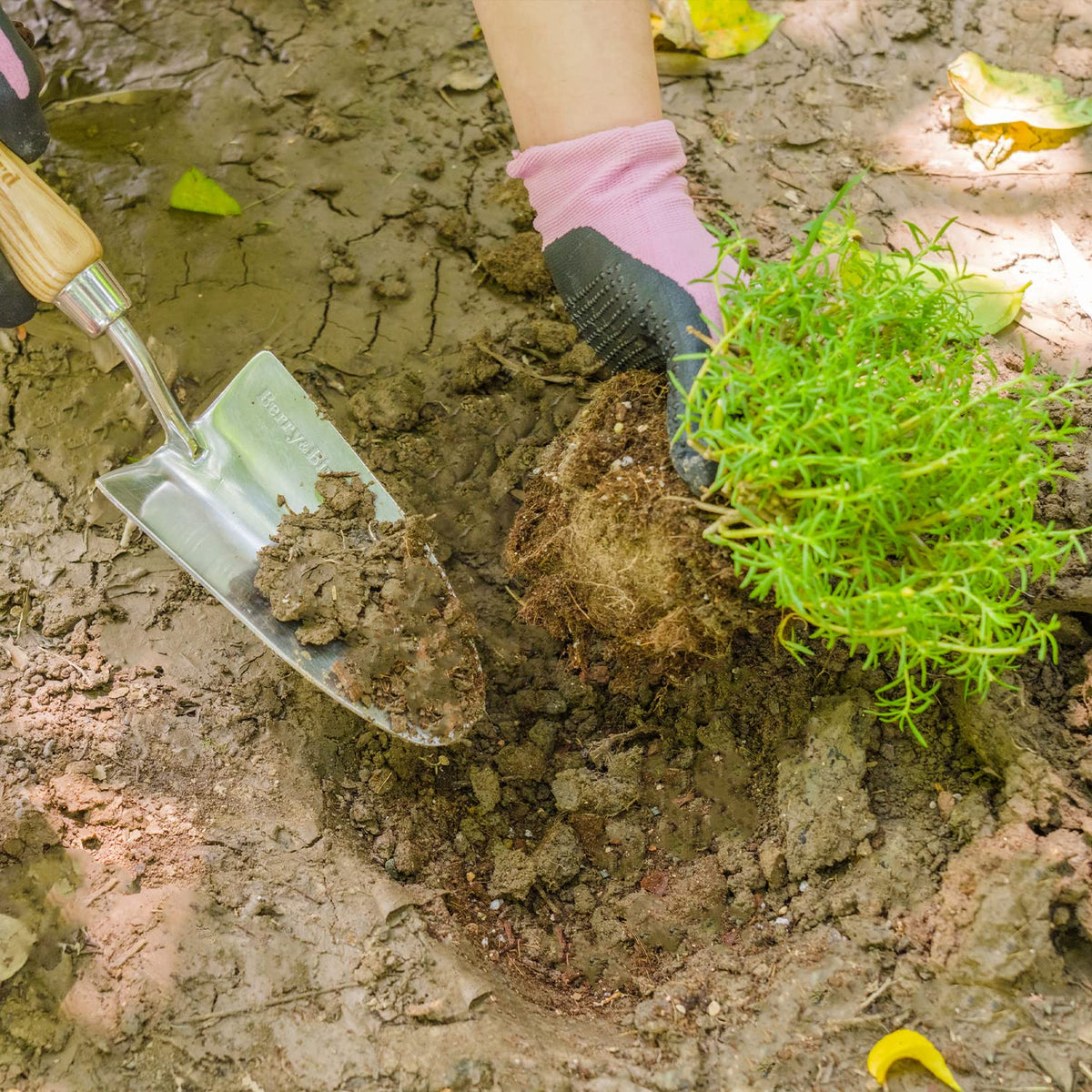 Berry&Bird transplanting and weeding trowel supports precise planting and weed removal