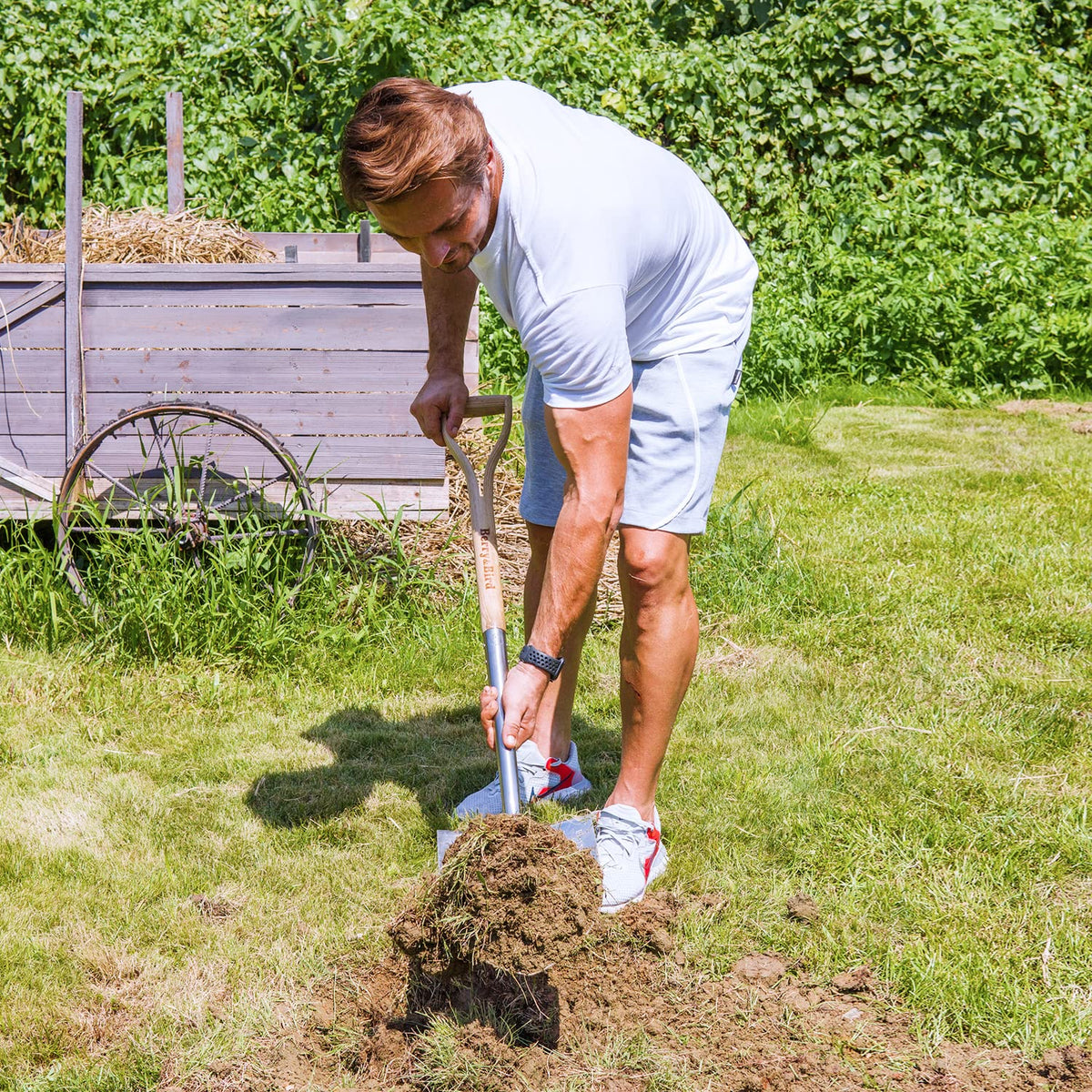 Berry&Bird transplanting small shrubs with precise digging and placement.