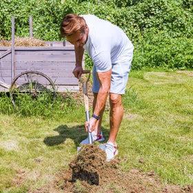 Berry&Bird transplanting small shrubs with precise digging and placement.