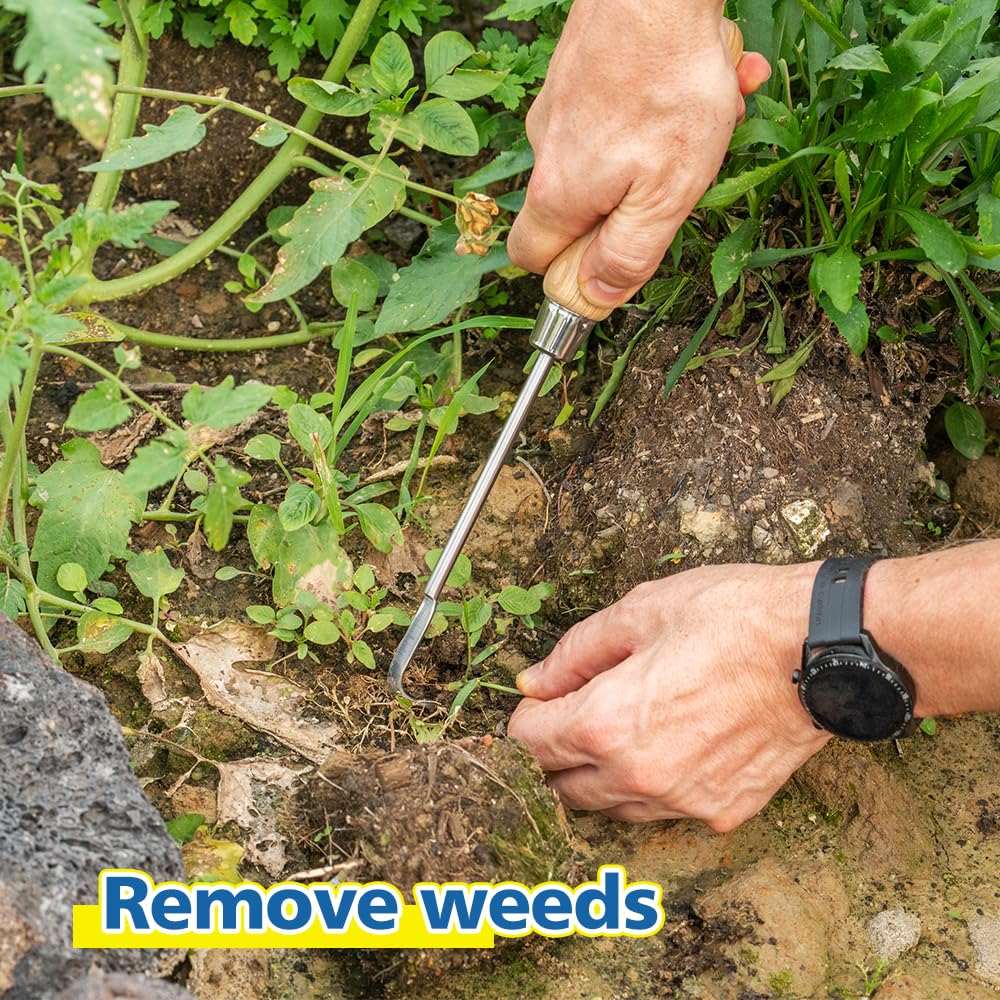 Berry&Bird Garden Hook Weeder stainless head glides through soil with rust resistance.