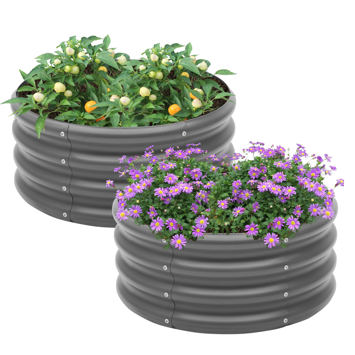 Besebay 2-pack galvanized raised bed for durable outdoor gardening.