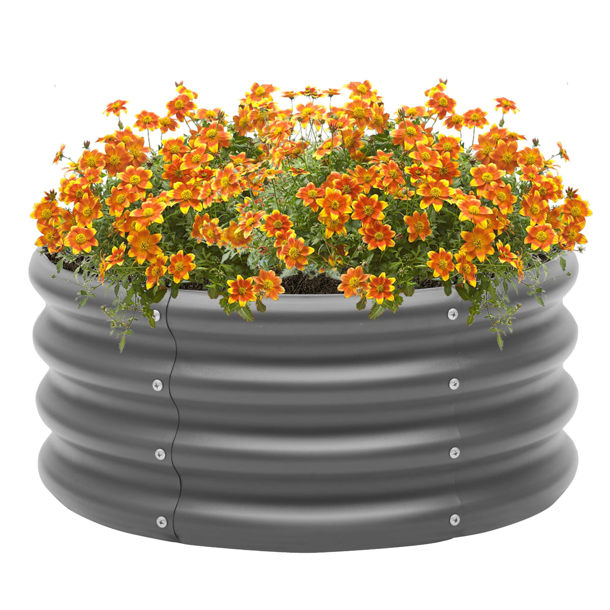 Besebay versatile garden bed suitable for vegetables, herbs, or flowers.