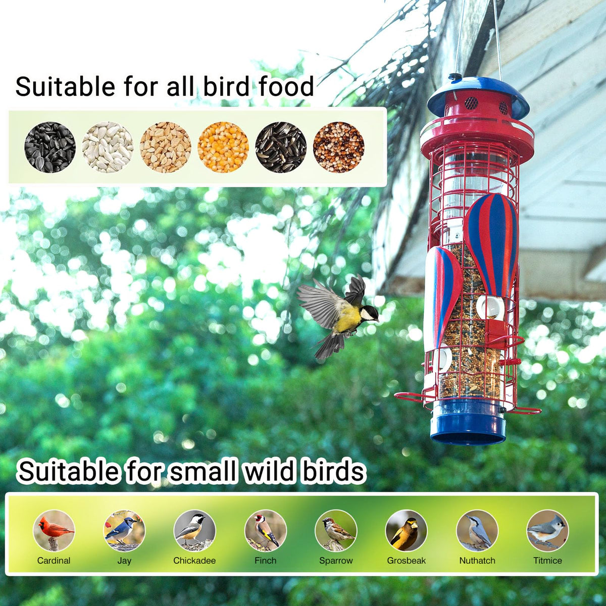 Beserie garden wildlife viewing with convenient bird feeder in yard