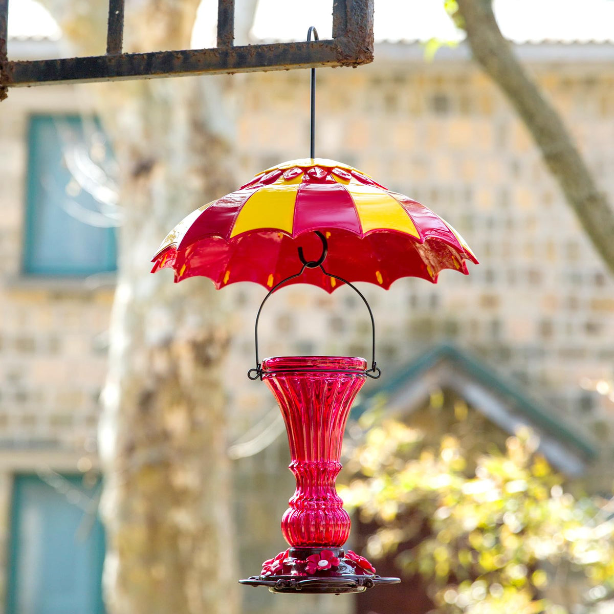 Beserie hummingbird resting spot under weather shield