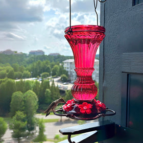 Beserie transparent bottle lets you check nectar level at a glance.