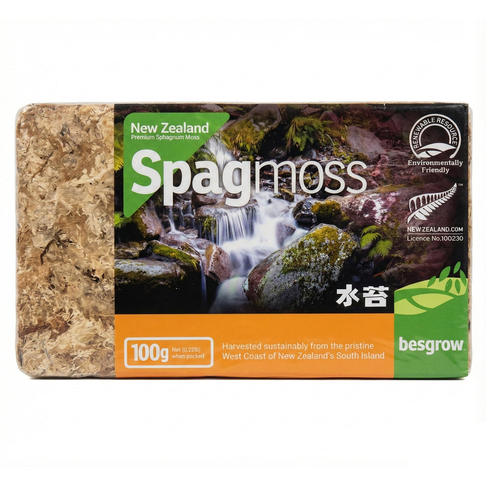 Besgrow premium NZ sphagnum moss pack, rich moisture retention for orchids