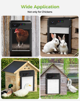 Besly anti-pinch sensor protecting chickens during door movement