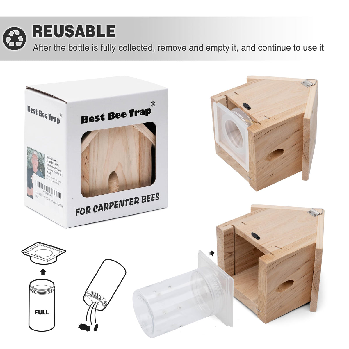 Best Bee Trap four-pack layout for multi-location use