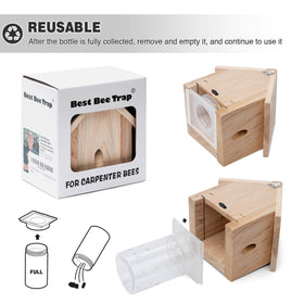 Best Bee Trap four-pack layout for multi-location use