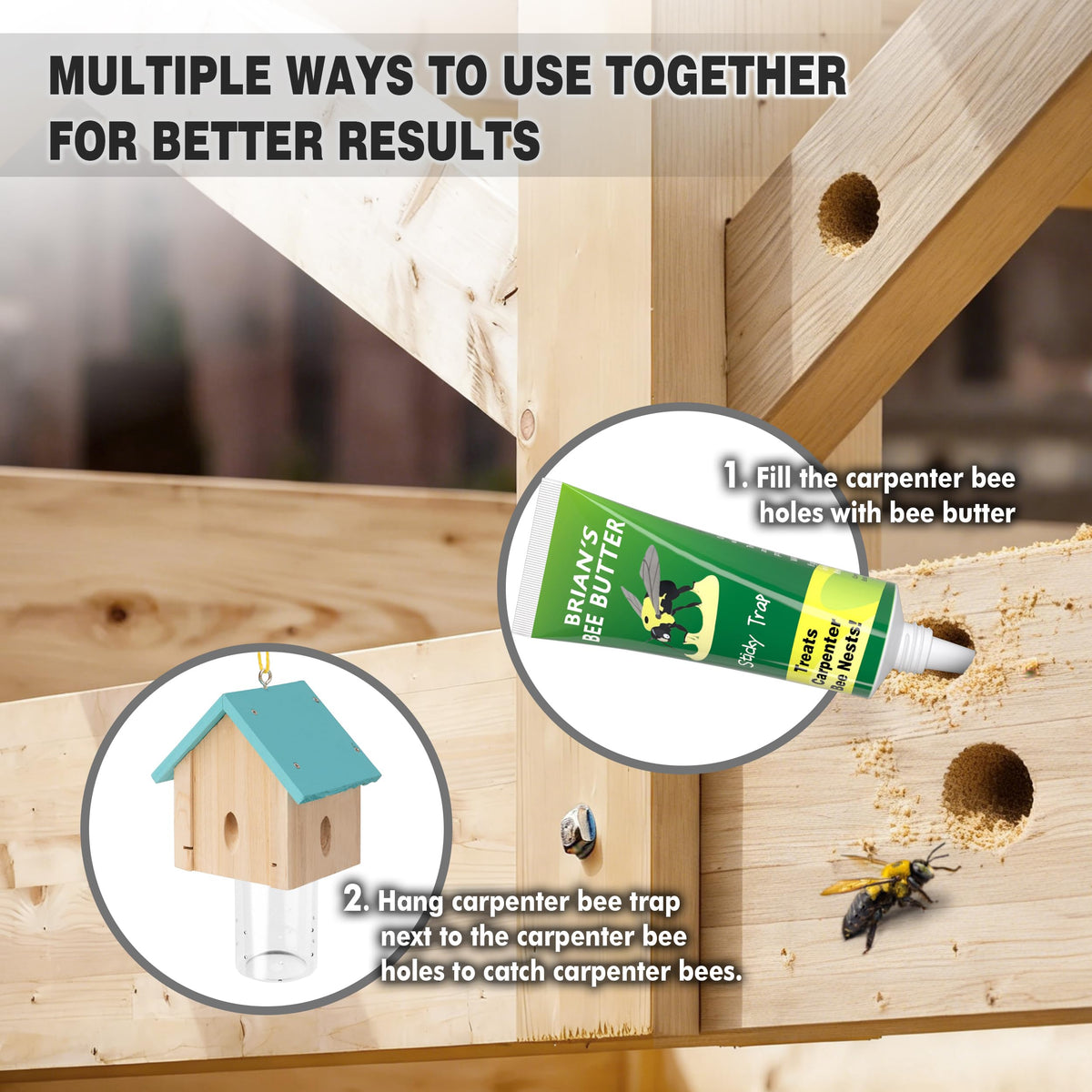 Pheromone attractant lures carpenter bees into the trap
