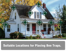 Best Bee Trap plastic jar trap offers easy monitoring and quick disposal of bees.
