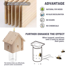 Best Bee Trap sun-focused placement guide for best results